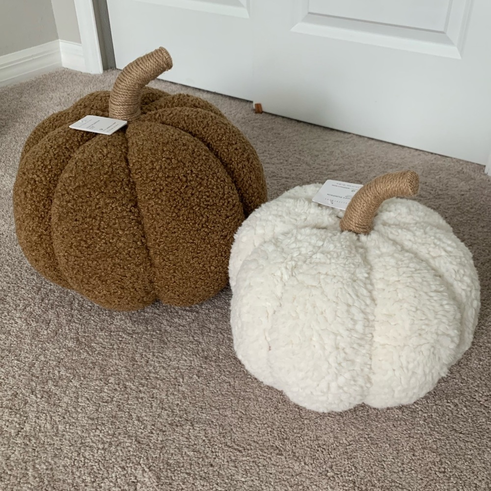 Pottery Barn Cozy Pumpkin Pillows in Ivory & Tobacco